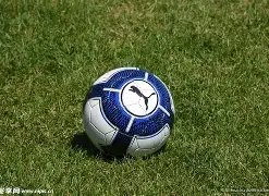 山东广播电,视台举办,年山东省男,ebpay承兑,ebpay钱包,ebpay官网