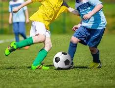 独家揭秘,期双色球必,中蓝球秘籍,ebpay承兑,ebpay钱包,ebpay官网