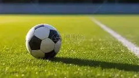 2025年本土企业强势崛起，工程项目管理软件国产替代方案大盘点