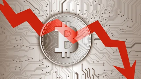 新加坡WTT女单淘汰赛赛程一览：3月15日揭晓8强对战名单