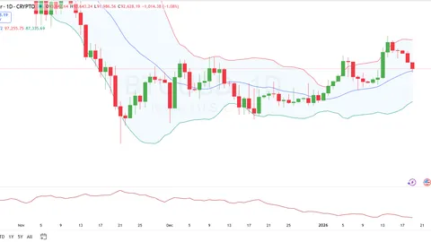 【币安巨献】RollX震撼来袭，1月16日币安Alpha独家首发，共赴财富新篇章！