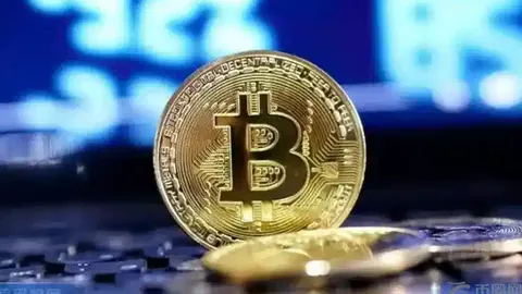 双十一体育界佳话：国米携手中国女排，张康阳感悟女排精神